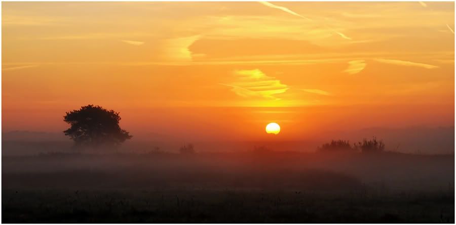 Fotografie