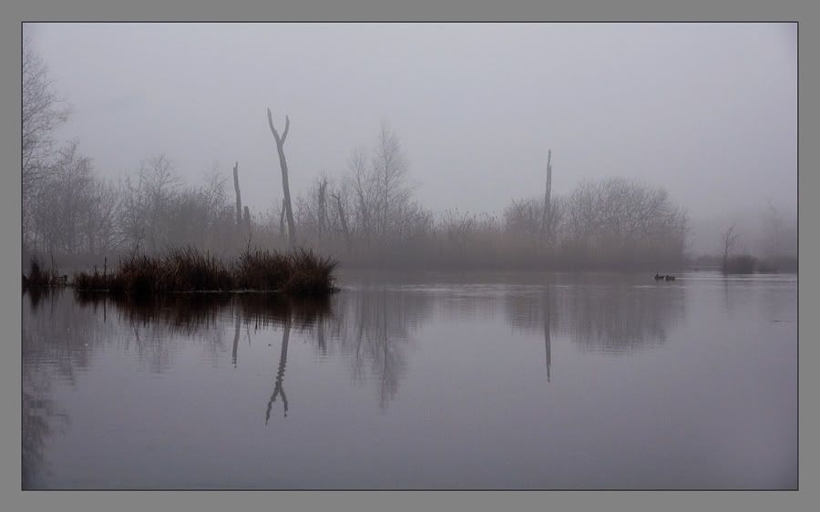 Fotografie