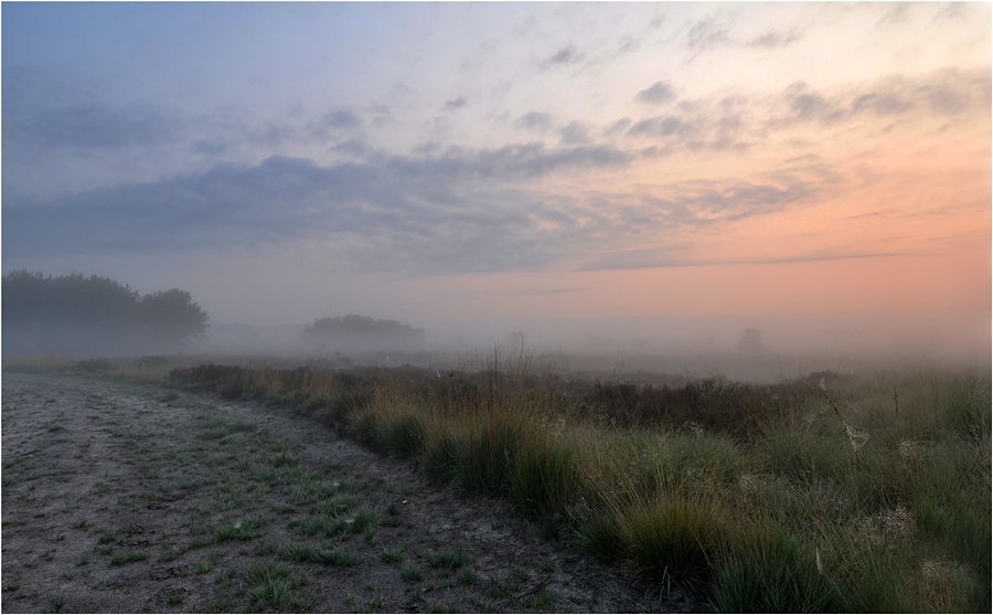Fotografie