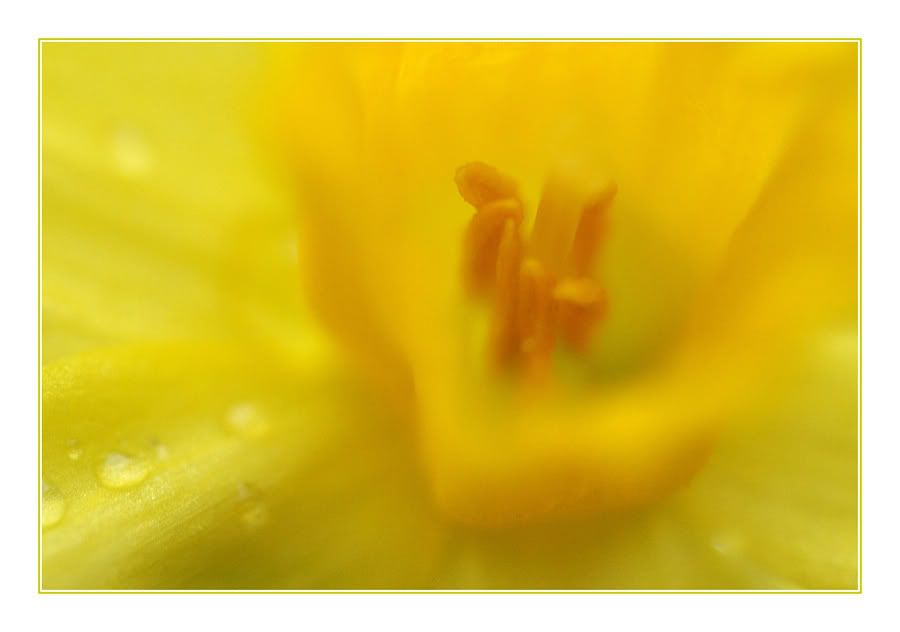 Fotografie
