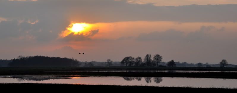 Fotografie