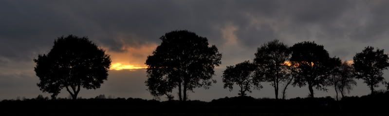 Fotografie