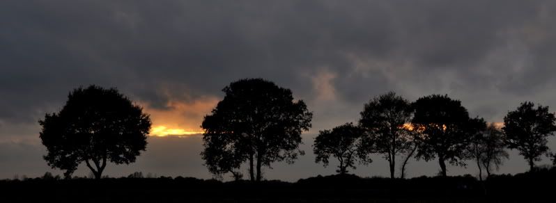 Fotografie