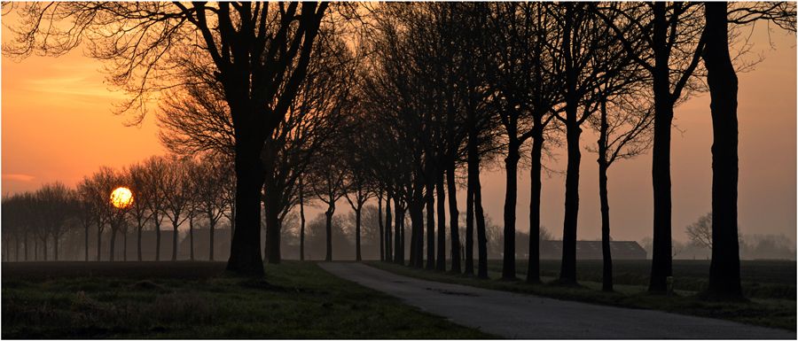 Fotografie