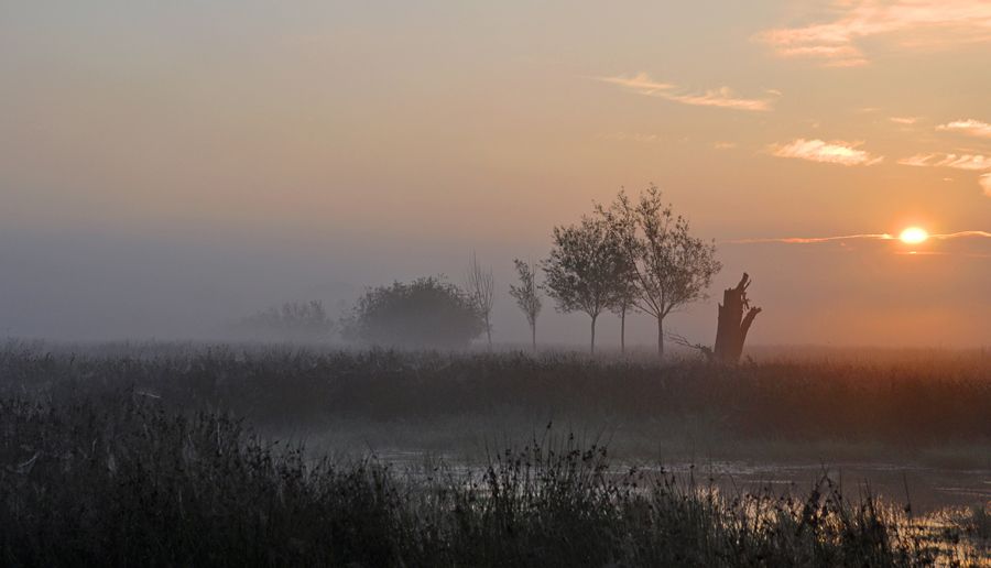 Fotografie