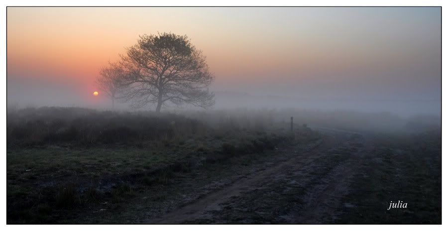 Fotografie