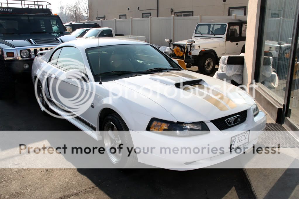 2004 Ford mustang 40th anniversary edition specs