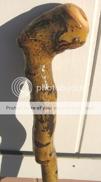 Aspen Walking Stick Staff Hand Carved in Colorado  