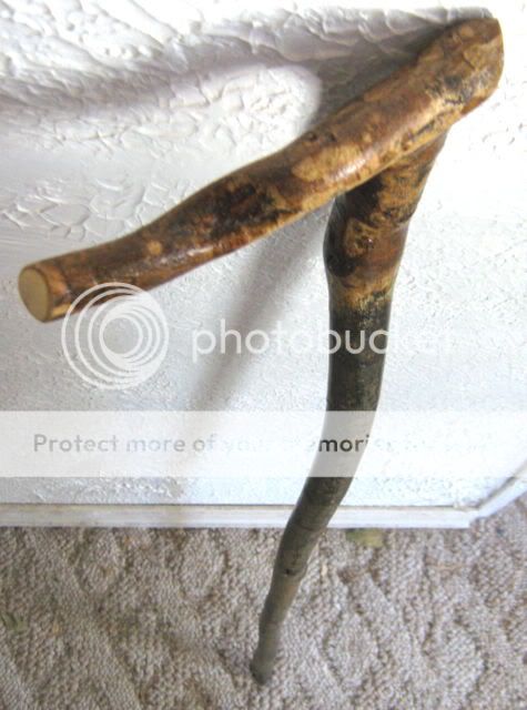 Hand Carved Crafted Colorado Aspen Cane Walking Stick  