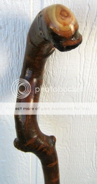 Hand Carved Crafted Colorado Aspen Cane Walking Stick  