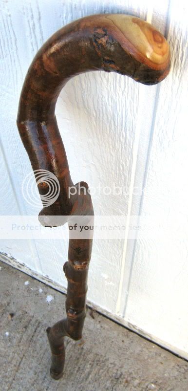 Hand Carved Crafted Colorado Aspen Cane Walking Stick  